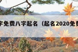 起名字免费八字起名（起名2020免费八字起名）