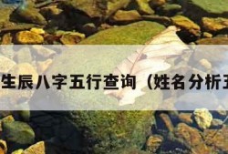 姓名生辰八字五行查询（姓名分析五行）