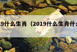 2019什么生肖（2019什么生肖什么命）