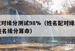 姓名配对缘分测试98%（姓名配对缘分测试98%姓名缘分算命）