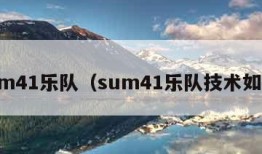 sum41乐队（sum41乐队技术如何）