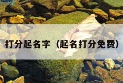 打分起名字（起名打分免费）