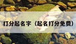 打分起名字（起名打分免费）