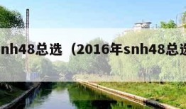 snh48总选（2016年snh48总选）