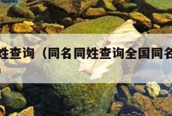 同名同姓查询（同名同姓查询全国同名同姓人数查询）