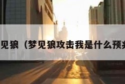 梦见狼（梦见狼攻击我是什么预兆）