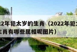 2022年犯太岁的生肖（2022年犯太岁的生肖有哪些属相呢图片）