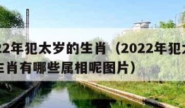 2022年犯太岁的生肖（2022年犯太岁的生肖有哪些属相呢图片）