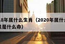 2018年属什么生肖（2020年属什么生肖鼠是什么命）