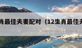 12生肖最佳夫妻配对（12生肖最佳夫妻配对羊）